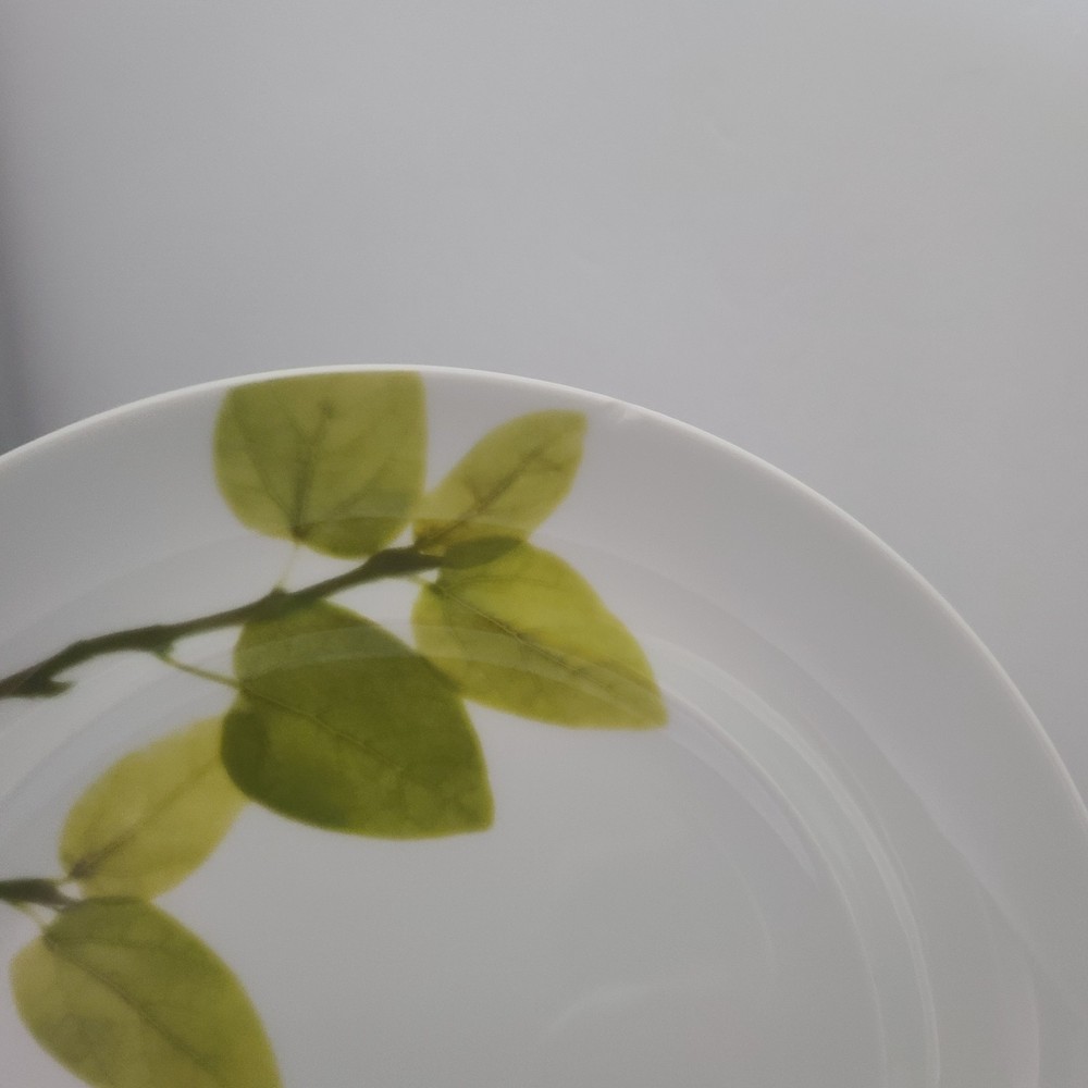 Mikasa ~ Daylight ~ 11" Dinner Plate READ