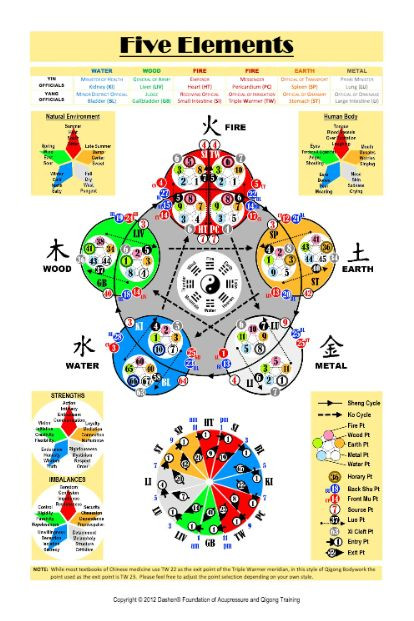 Five Element Acupuncture Poster (12"x18" Double Sided)