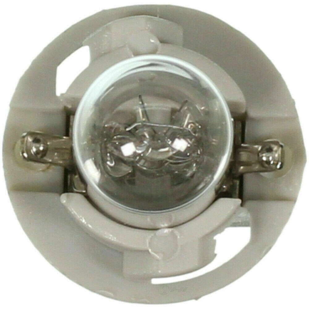 10 Instrument Panel Light Bulb-Mini Lamp Turn Signal Indicator Light PC194