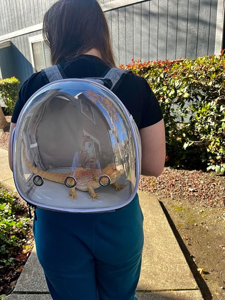 Clear Guinea Pig Backpack, Space Capsule Bubble Window Backpack Carrier for Guin