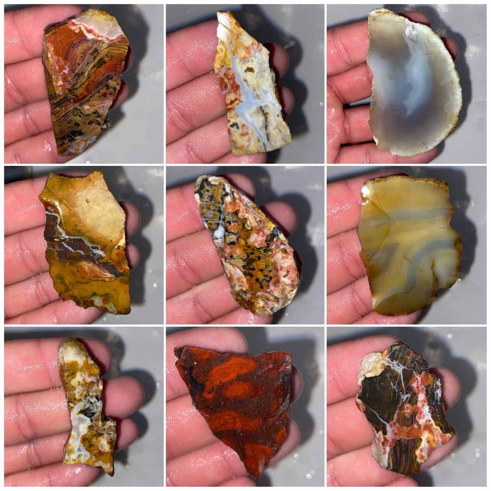 Colorful 9 Pc Agate Jasper End Cuts Lot 7.94 Oz