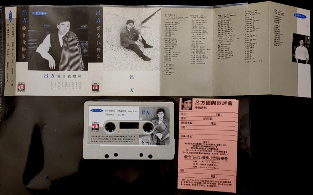 吕方 David Lui - 爱令我变炭 1987 南方/华星娱乐 Cassette * Play Tested * C44