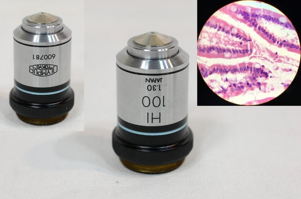 microscope antique collectible Olympus' "EHS" microscope