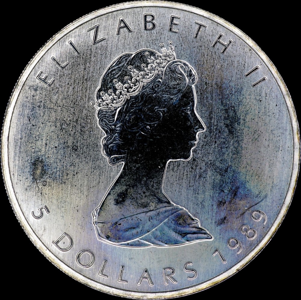 Canada Elizabeth II 5 Dollars 1989 Silver Maple Leaf Proof - Nice Toning!  204