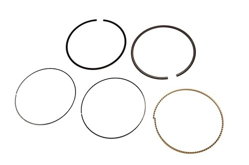 89017484 LS2/L76 Production Piston Ring Set