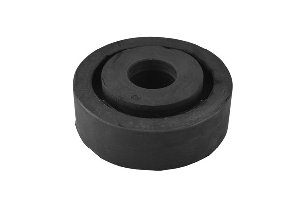 wishbone bushing