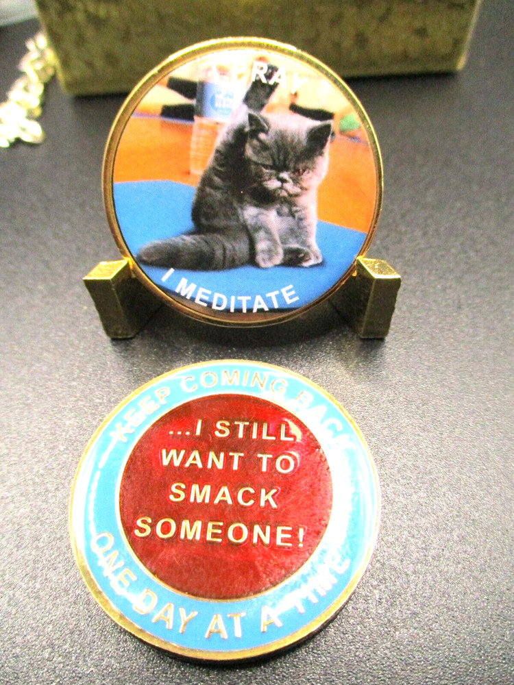 Coins Chip Brass Bad Days / Serenity All 12 Step Recovery Programs