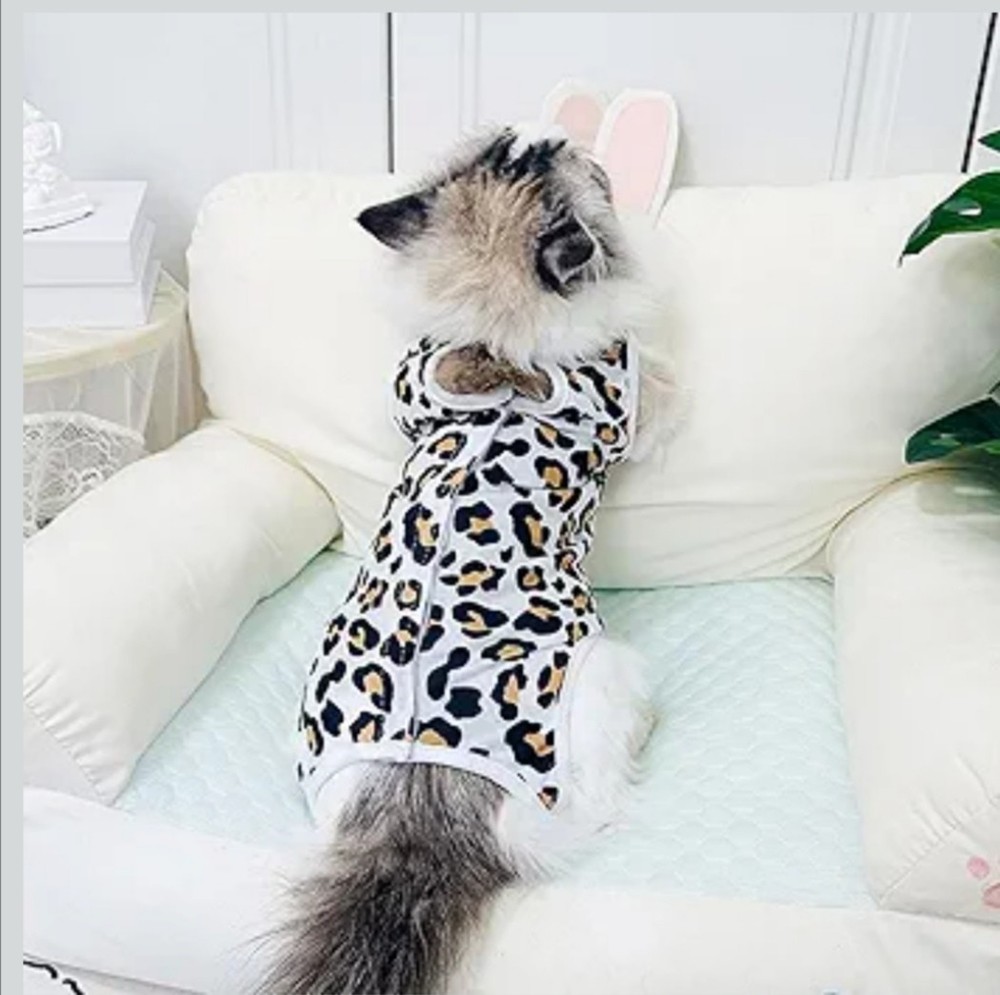 CATS POST STERILIZATION JUMPSUIT LOT SIZE M SP. FAST NEW