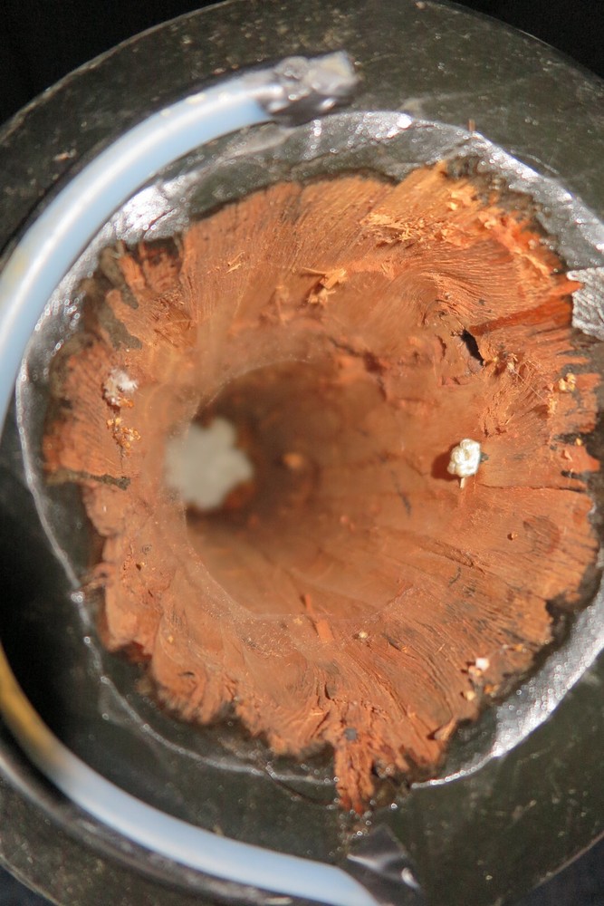 QUALITY LARGE FLOOR STANDING (36") BONGO DRUM - PLS READ