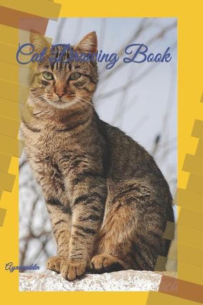 Cat Drawing Book