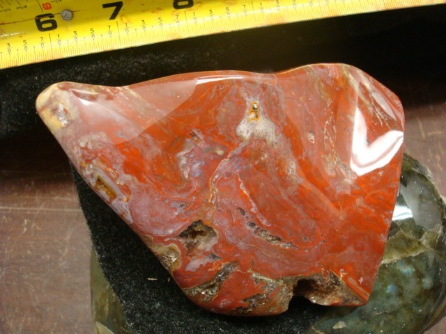 petrified wood madagascar polished