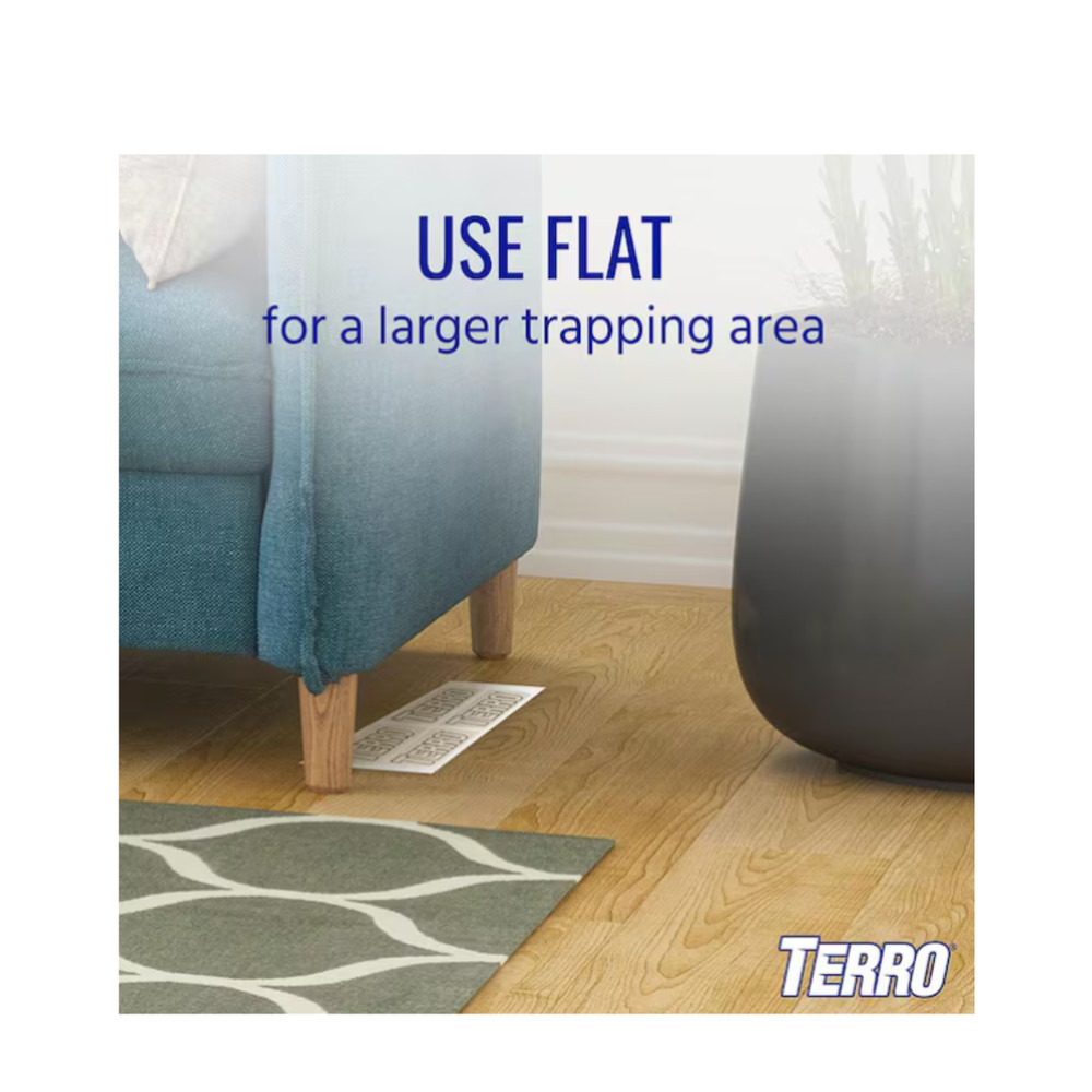 Terro T3206 Spider & Insect Traps – Indoor Use, 1 Pack, White