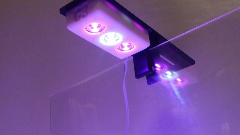Refugium light CHAETO C3L Mini Refug LED Light For Small Tanks