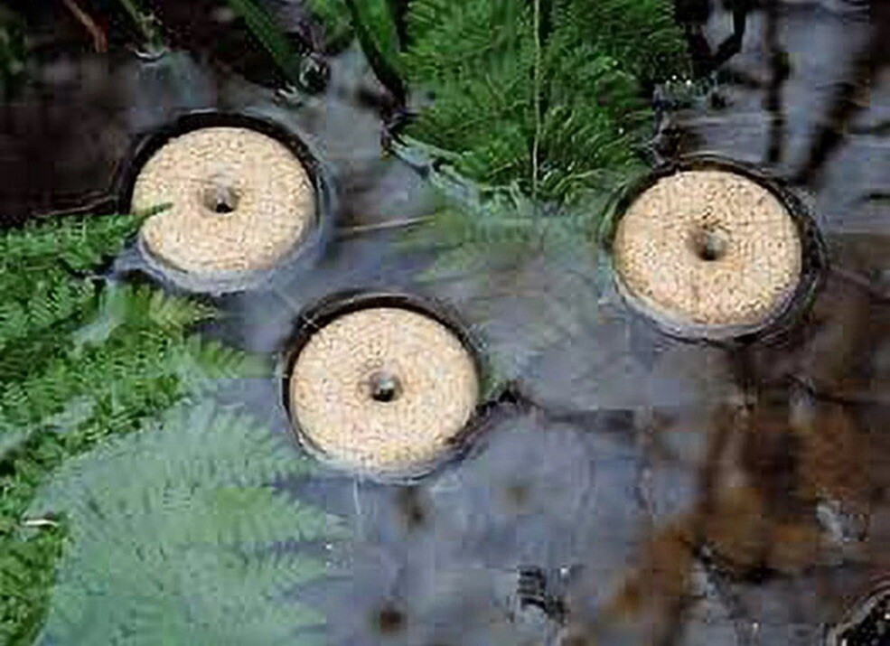 6-Pack Summit MOSQUITO DUNKS Floating Pod Kill Biological Safe 30 Day Control