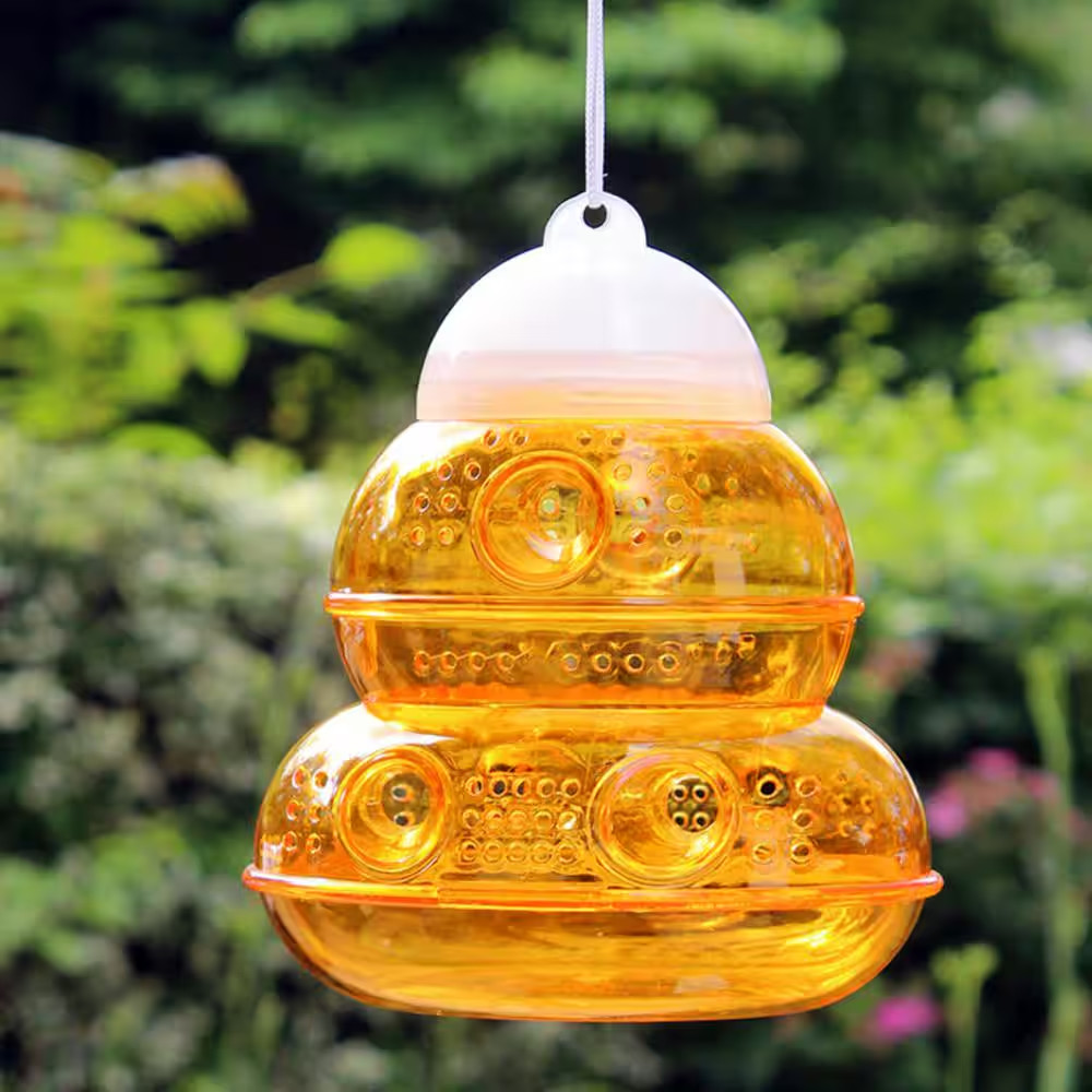 Yellow Jacket and Wasp Traps (6-Pack)