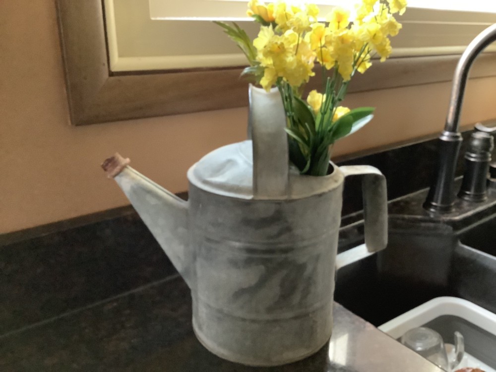 Vintage Galvanized Watering Can Pour Spout 2 Gallons