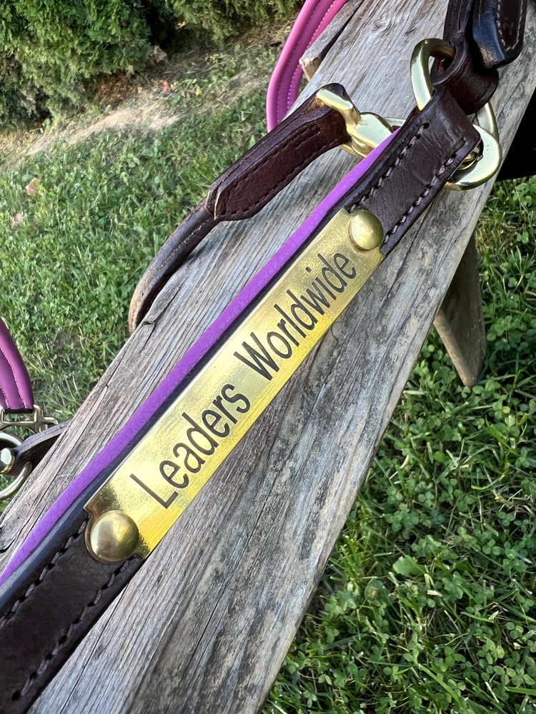 Leaders 3/4" Leather Halter Pink Padded with Solid Brass Hardware