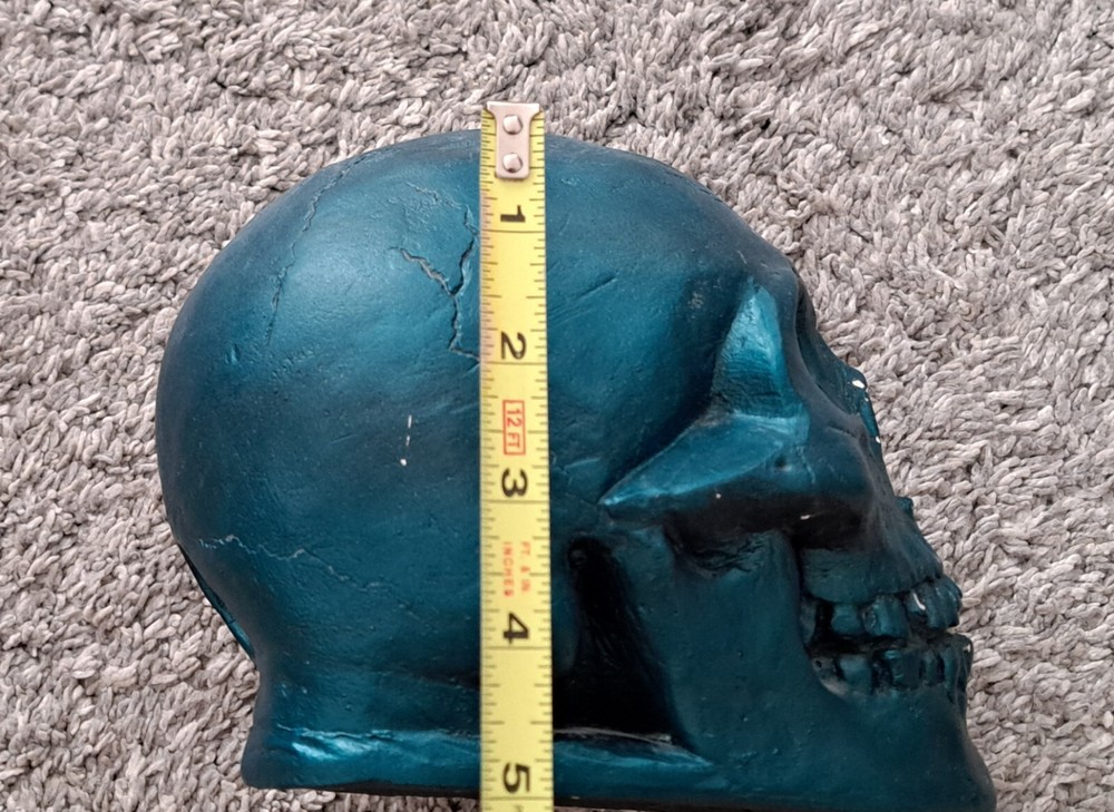 Skull