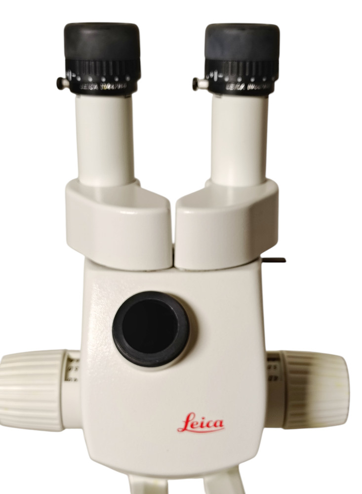 Leica MZ95 Stereo Microscope