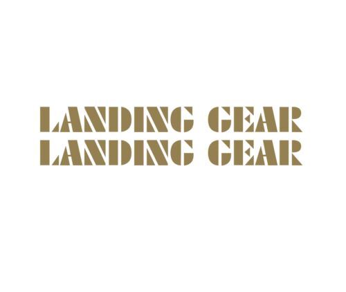 Landing Gear Fork Decal set - gold