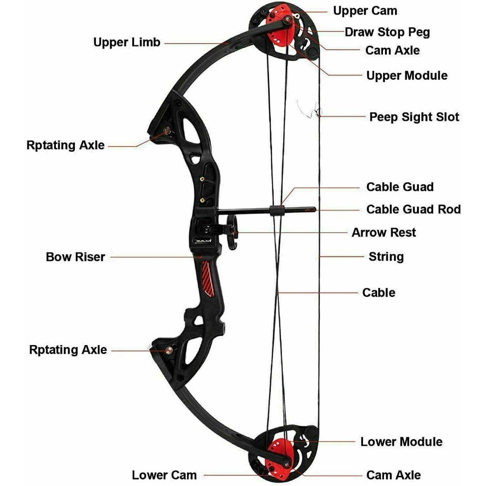15-29lbs Compound Bow and Arrow Set Right Hand Beginner Archery Target Hunting