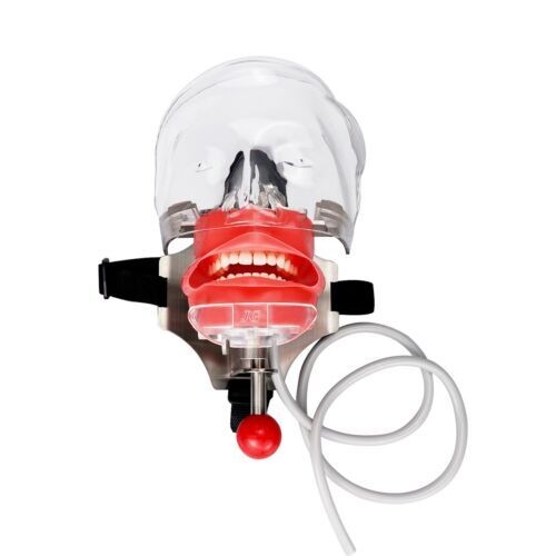 Dental Materials Oral Preparation Model Instruments Tools Simulation Head Molds