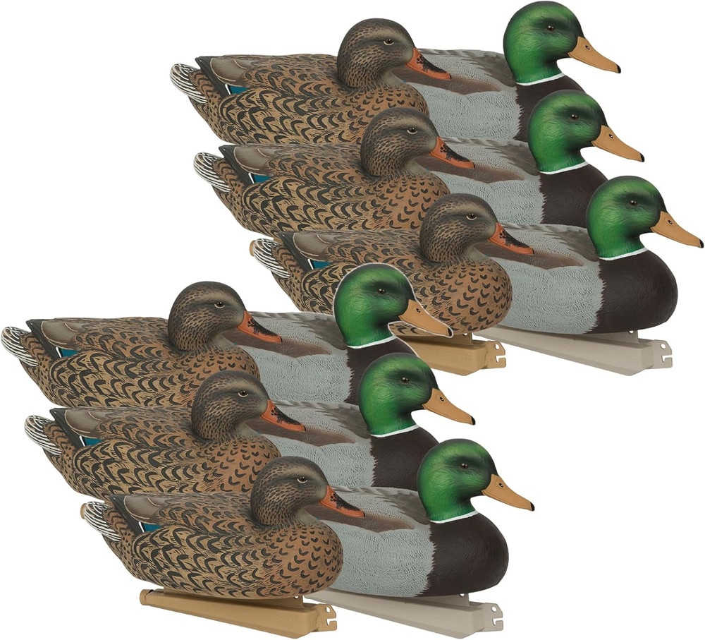 Avery GHG Essential Mallard Duck Decpus - 12 Pack