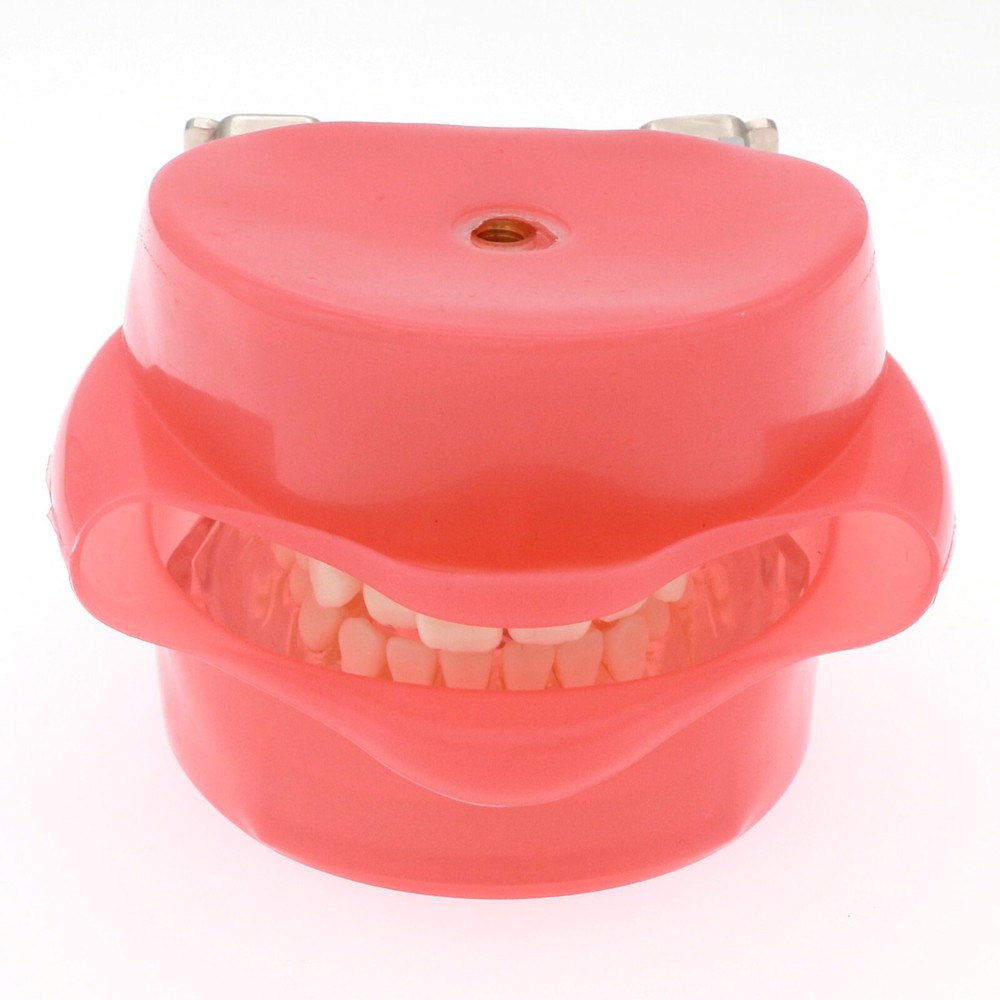M7008 + Simulation Cheek Dental Typodont Practice Removable Teeth Model Soft Gum