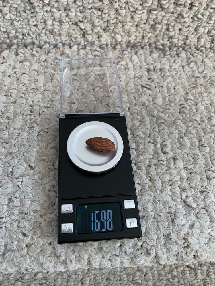 TN-Series Professional Digital Mini Scale (Tested)