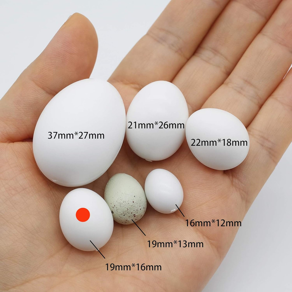 8 Pcs Solid Parrot Plastic Eggs Hatching Eggs Parrotlet，Budgie Parakeet，Diamond