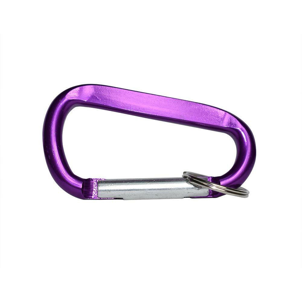 Aluminum Carabiner Spring Clip Hook Keychain (25/Pack)