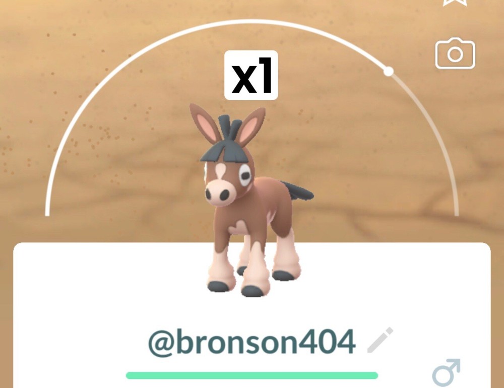 x1 Mudbray - Pokemon Trade Go