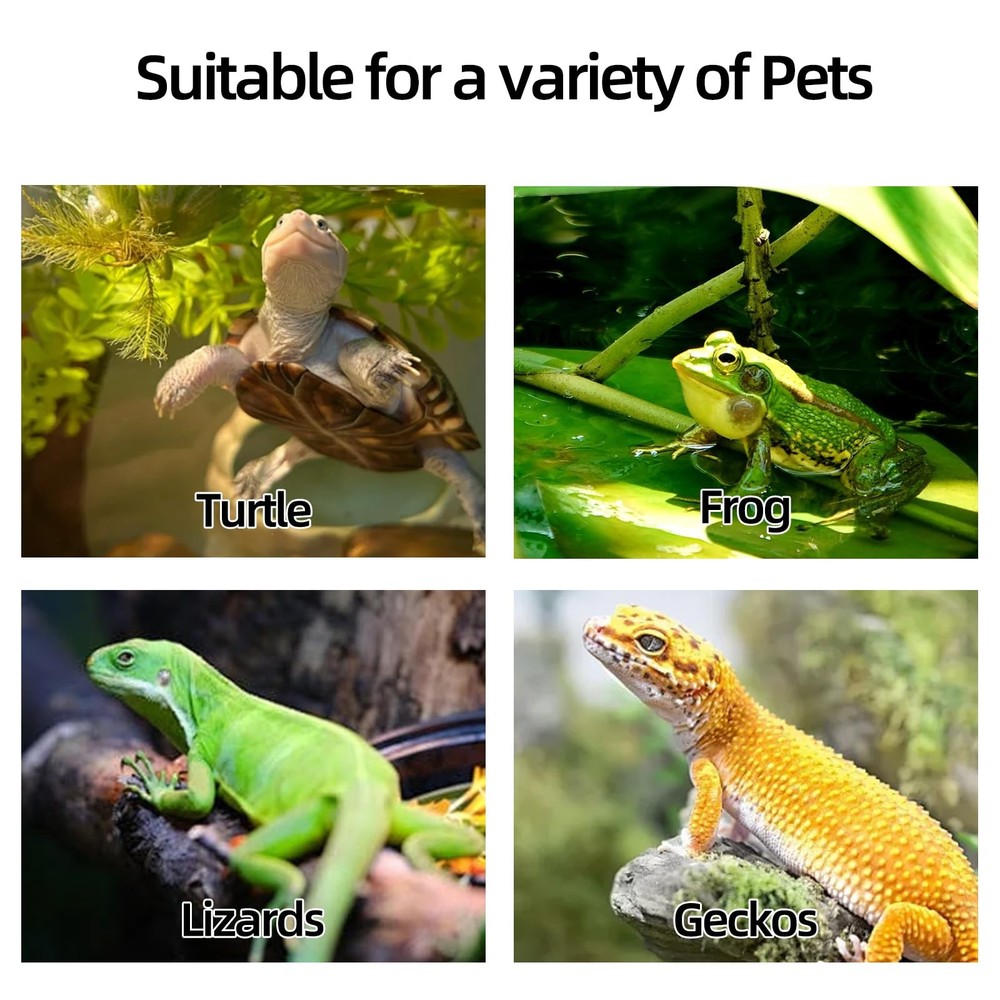 Green Tortoise Basking Platform Floating Resting Terrace With Suction Cup