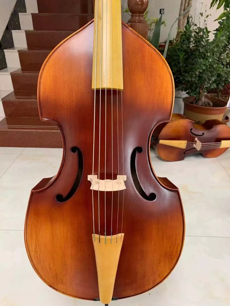 profession SONG maestro 6 string 27" viola da gamba,Bird's eye maple back