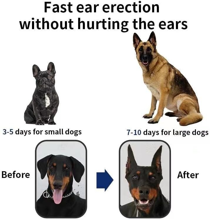 Adjustable Dog Ear Correction Tool - Essential Support for All Dog Breeds