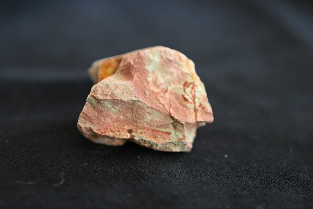 Moroccan Theropod Tooth in Matrix