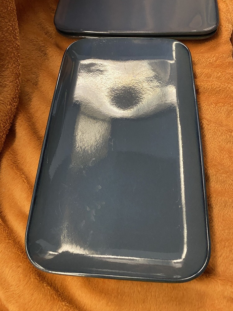 KOOV 2x Large 2x Medium Serving Trays Plates Rectangular Blue