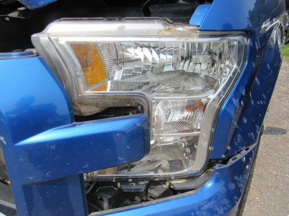 F150 2016 Glove Box 1058757