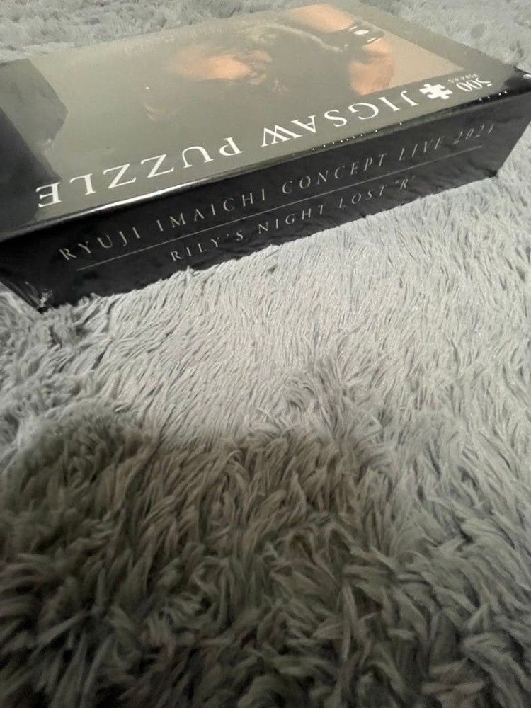 Ryuji Imaichi Jigsaw Puzzle [500 Pieces]