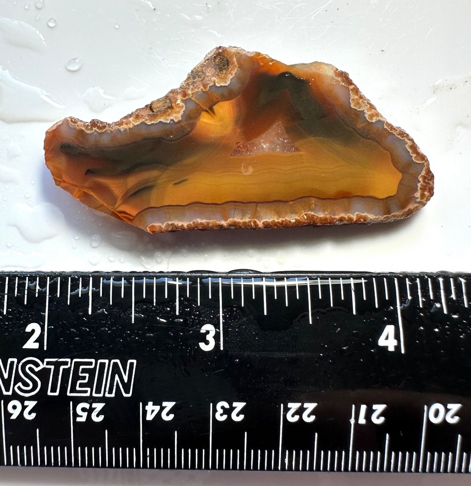 Condor Agate Small Slab Rough, 13g, Cabbing/Lapidary