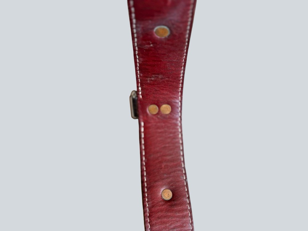 Ray ALLEN Heavy Duty Agitation Dog Training Collar Behavior Control