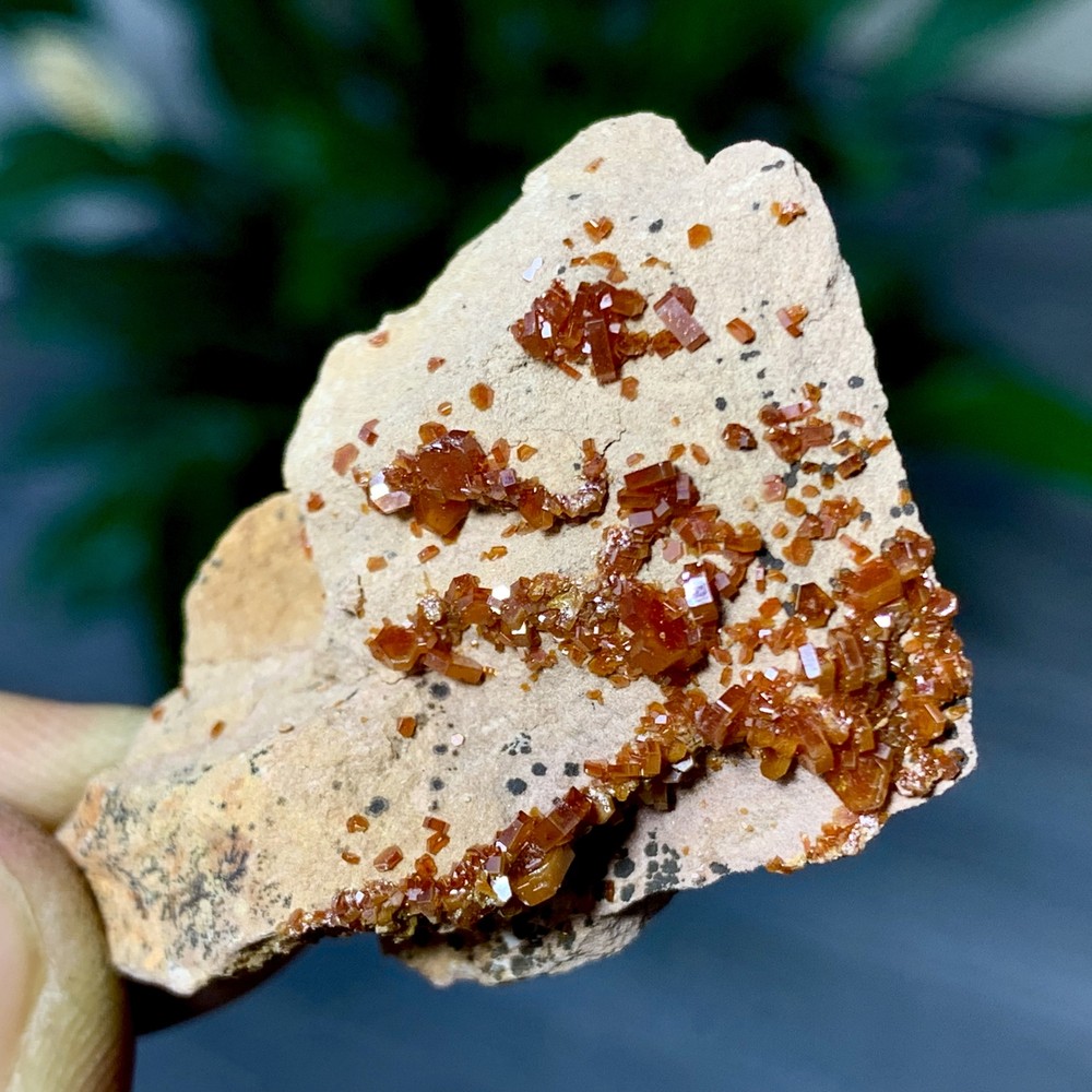 15GNatural Beautiful Vanadinite Atone Cluster Quartz Mineral SamplefromMorocco