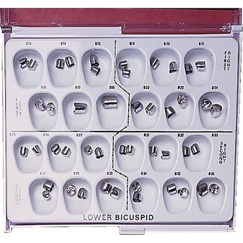 Lower Bicuspid Stainless Steel, Left Lower Second, B27, 3/Pkg