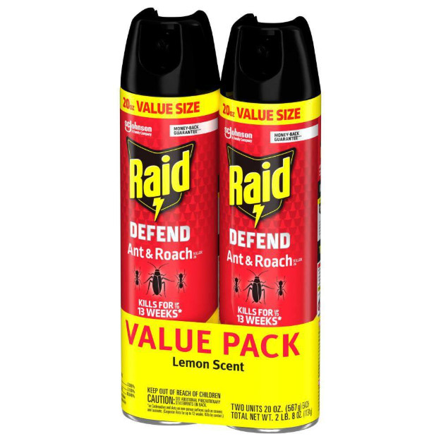 Raid Defend Ant and Roach Insect Killer, Indoor Insecticide, 20 oz. (2-Pack)