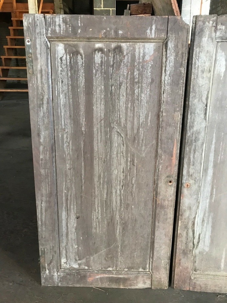 Pair of Early Walnut Paneled Doors from a Cupboard