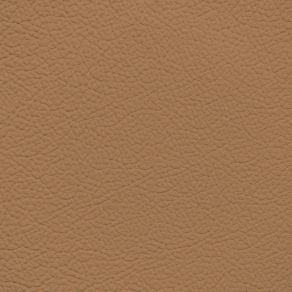 Audi Nutmeg Leather Dye