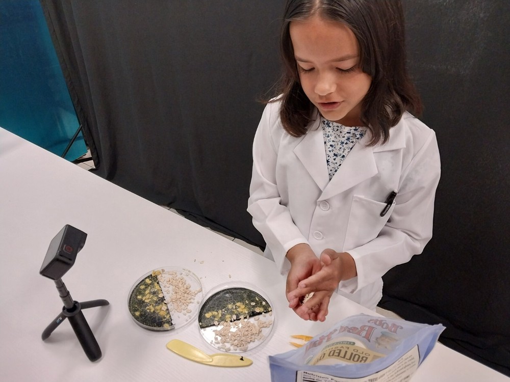 Pet Blob Home School Science Kit Complete with Tools & Instructions