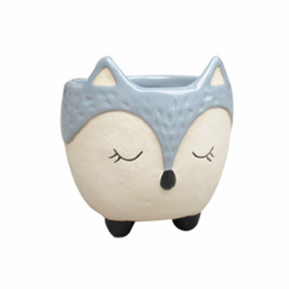 lotus international 3" Blue-Grey Fox Planter