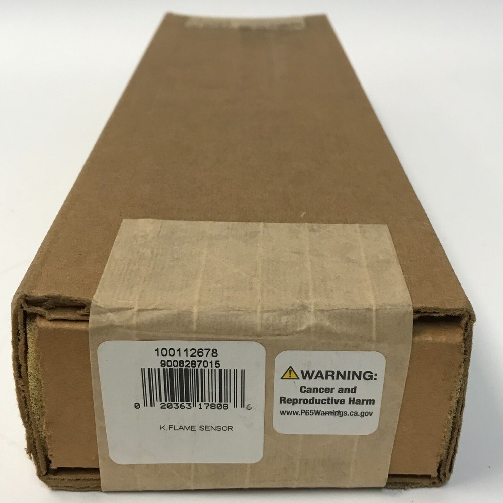 A.O. Smith Water Heater Flame Sensor #100112678 NIB!