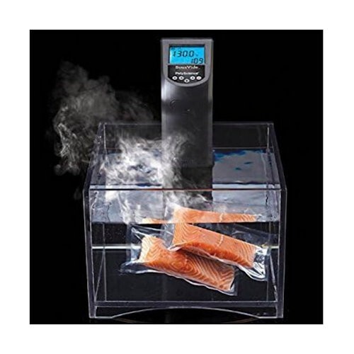 PolyScience Creative Series Sous Vide Immersion Circulator 120V